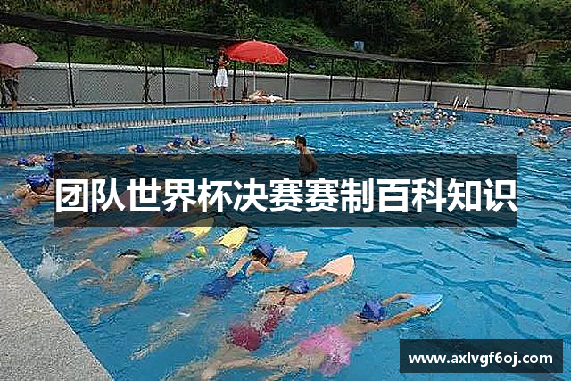 团队世界杯决赛赛制百科知识